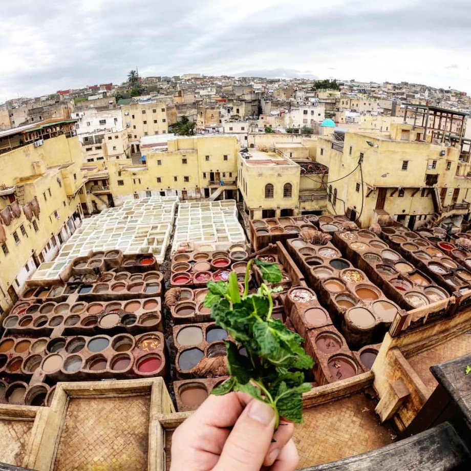 Fés - Chouara Tannery