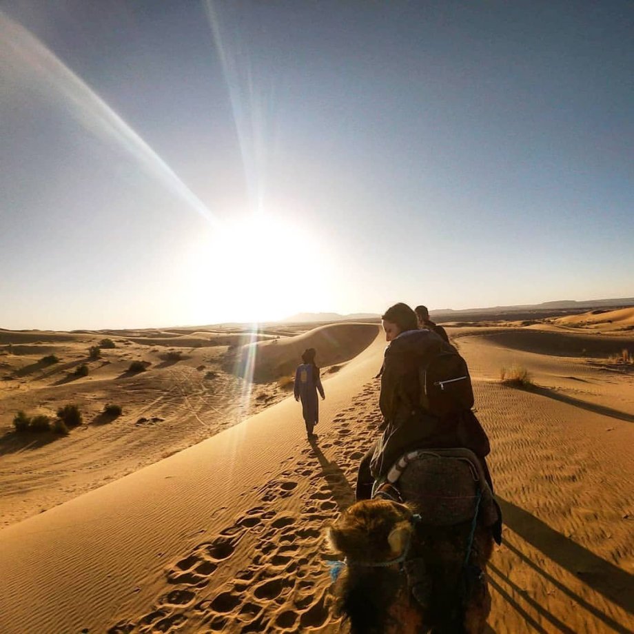 Erg Chebbi na velbloudech