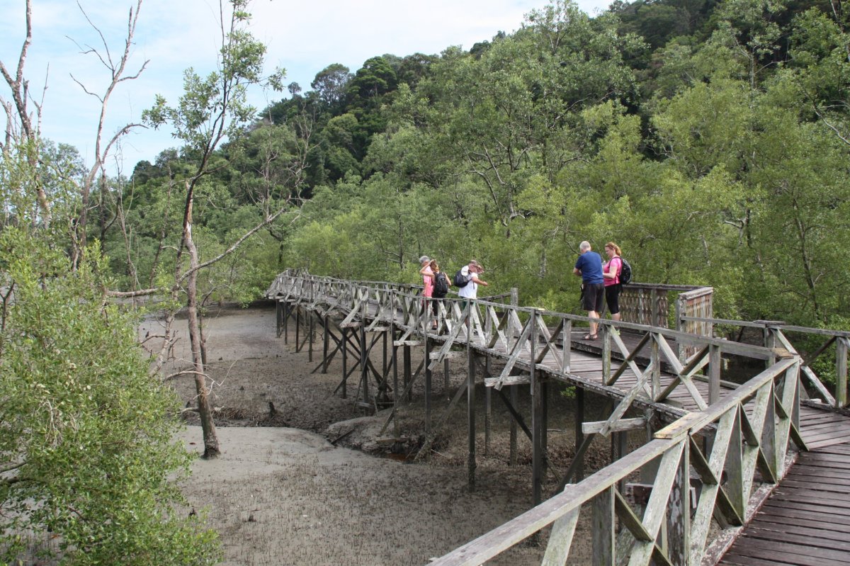 V NP Bako jsou dřevěné chodníky