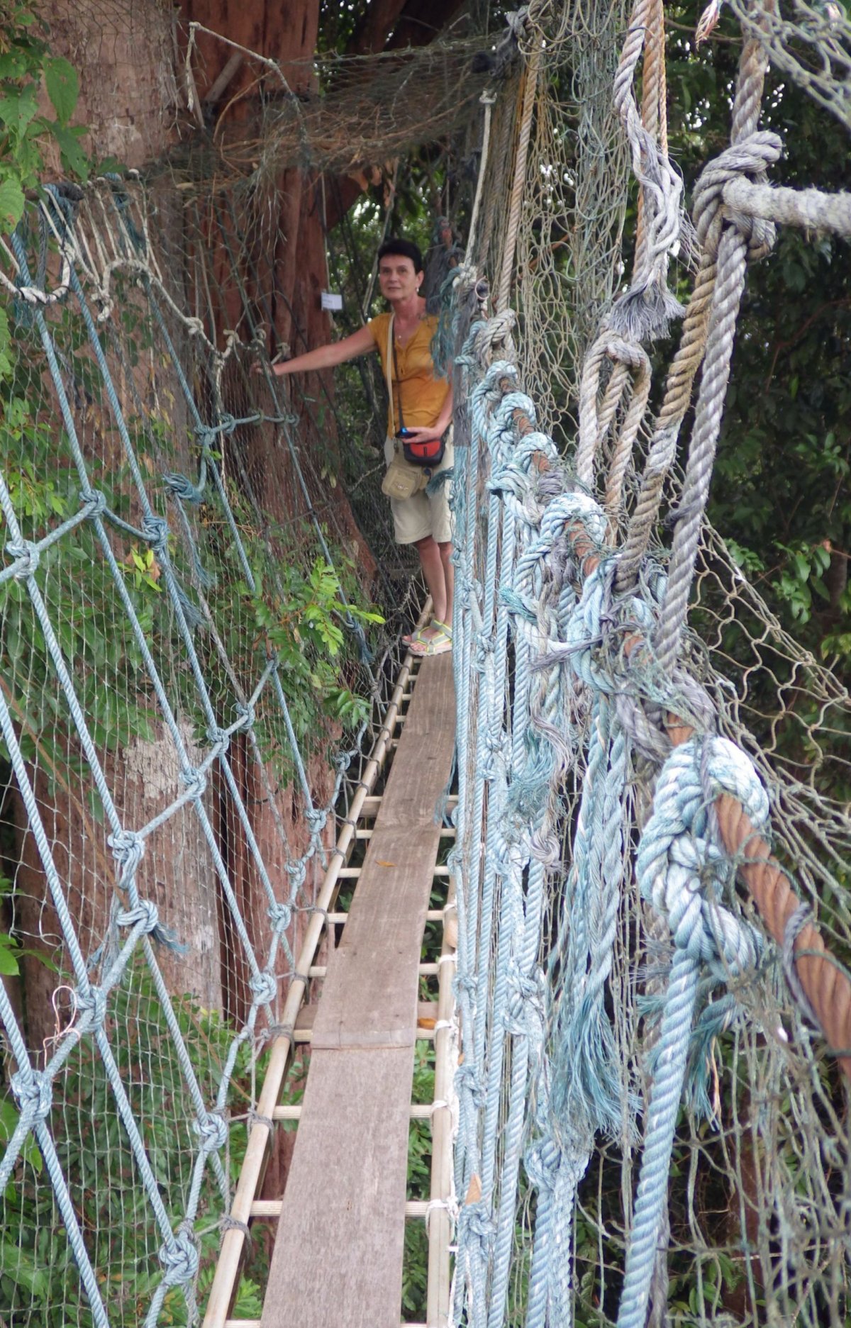 Lanový most v korunách stromů