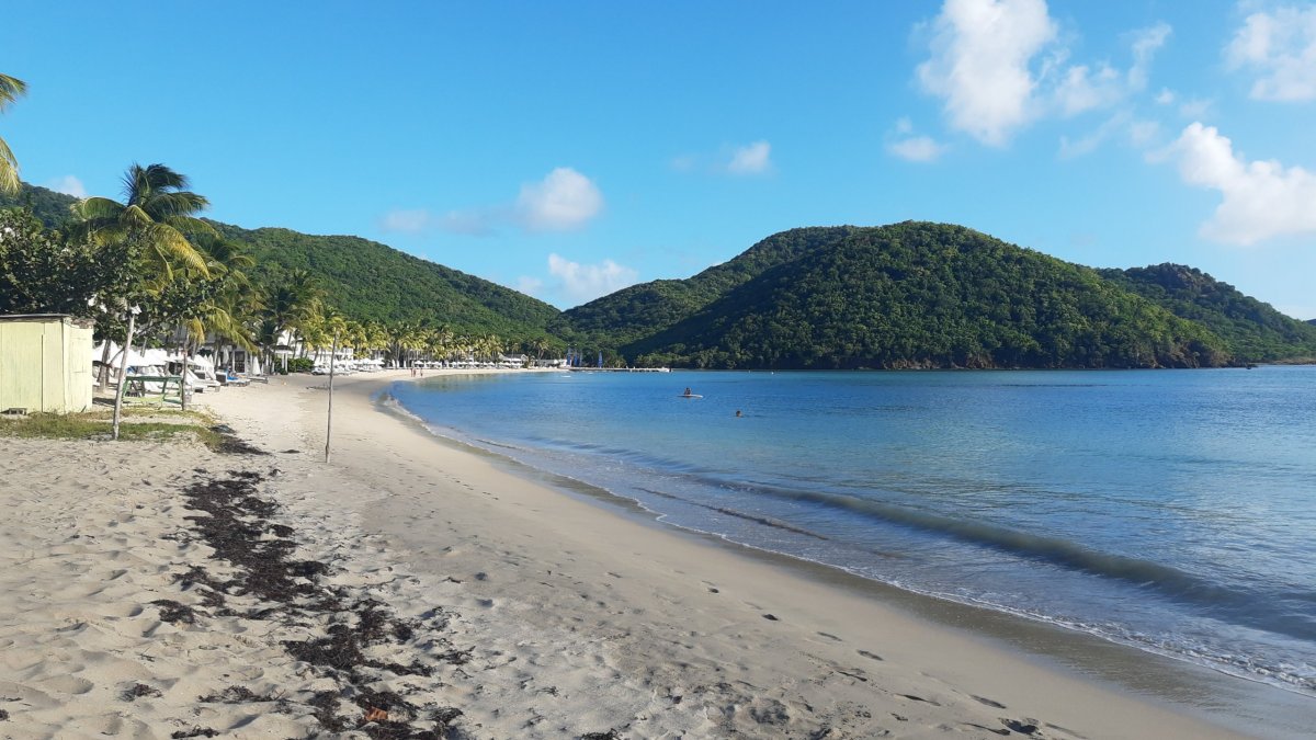 Carlisle Bay