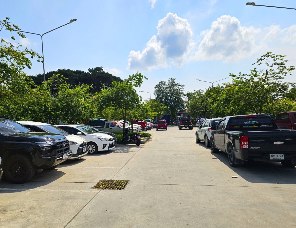 Parkoviště u přístavu, vyzvednutí půjčeného auta