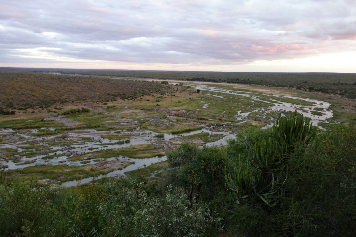 Výhled z Olifant River kempu. Dolu k řece chodí před soumrakem stáda slonů.