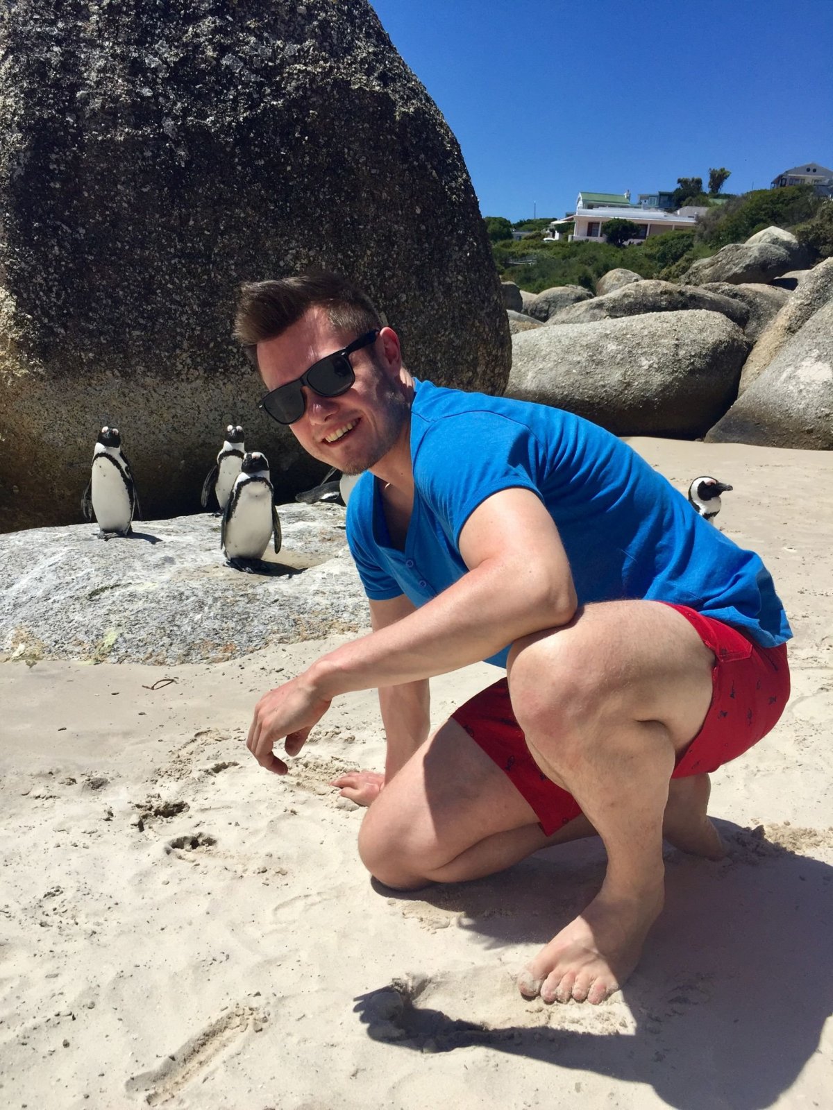 po chvilce chůze vodou jste z veřejné pláže sami přímo mezi tučňáky