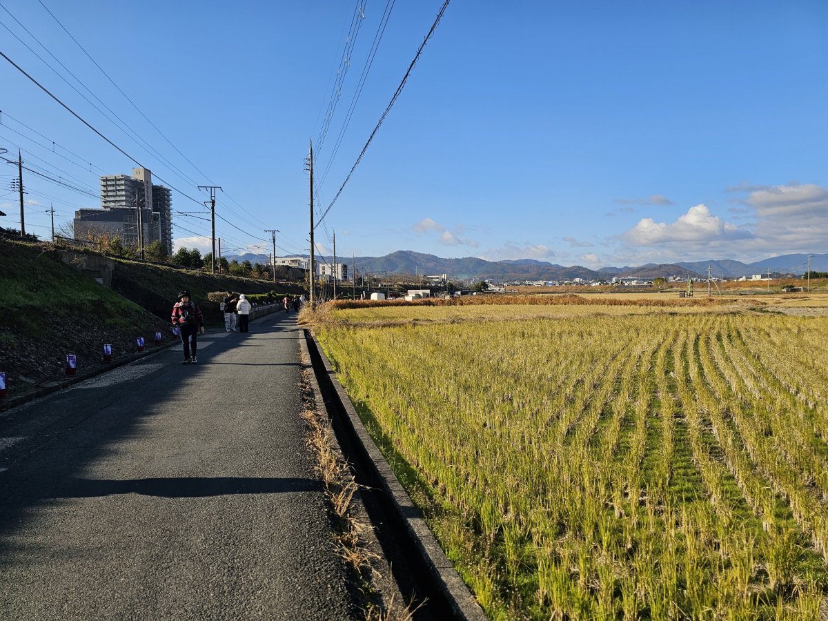 Cesta pěšky od stanice k lodi