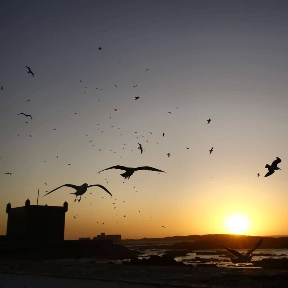 západ slunce v Essaouira