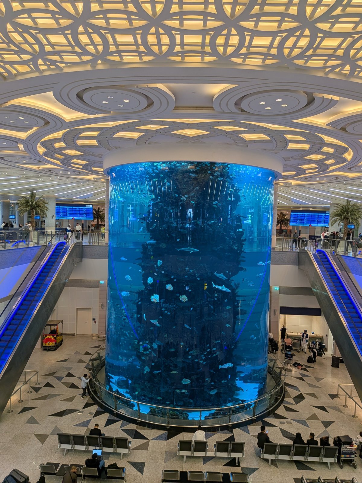 Akvárium na letištním terminálu v Džiddě