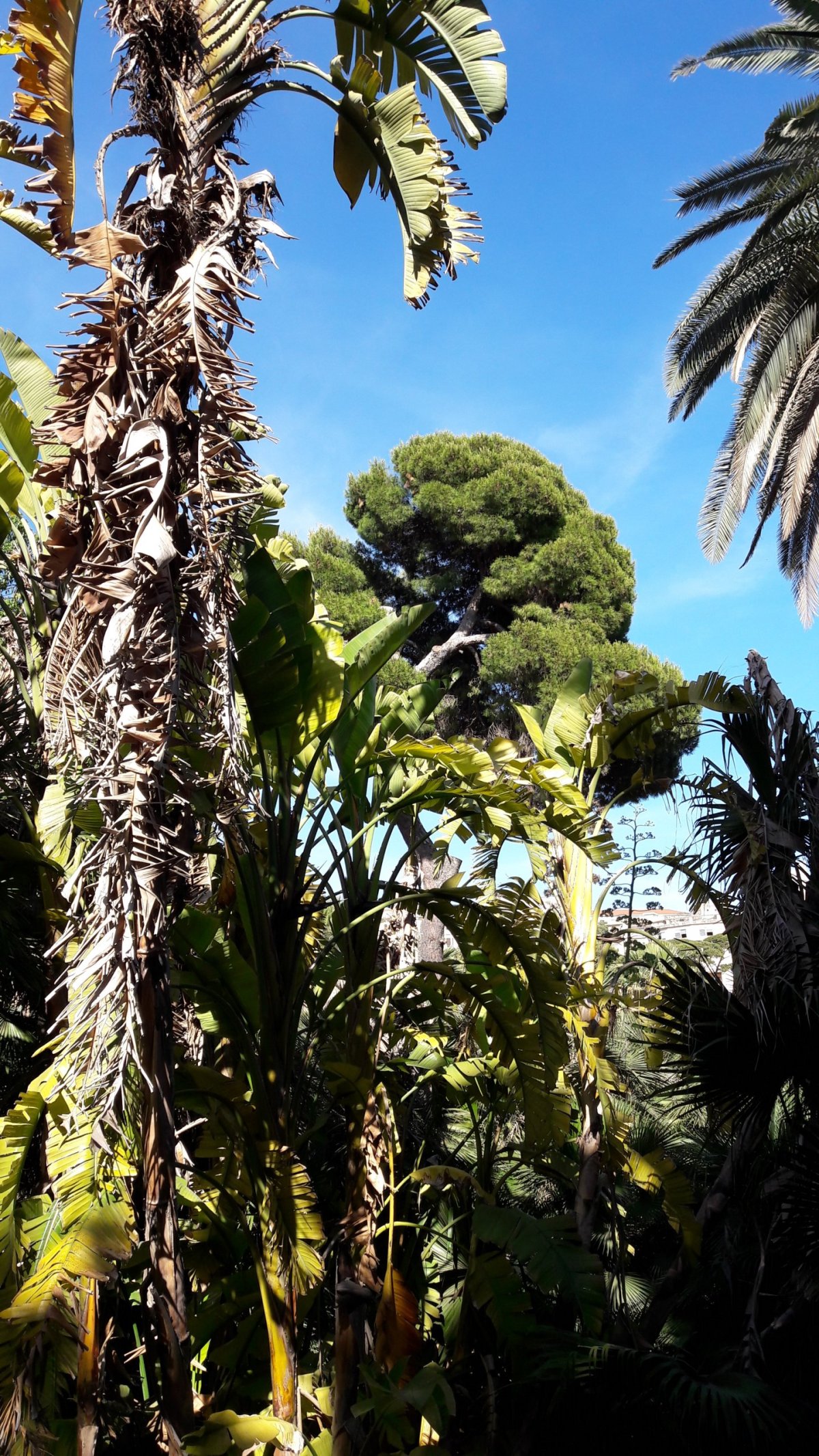 Botanická zahrada v Cagliari.