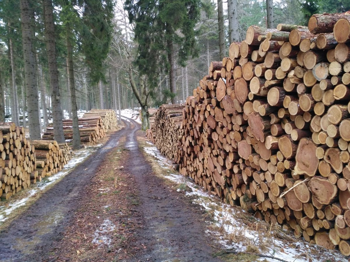 A další následek větrných špásů…