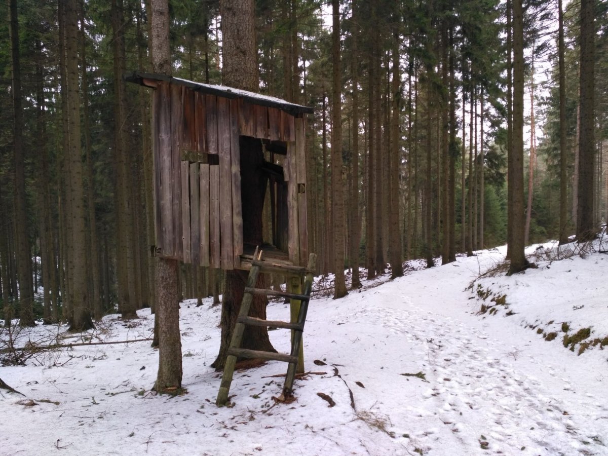 Hádám, že tato čekaná již mnoho myslivců nepohostí. Life sucks.