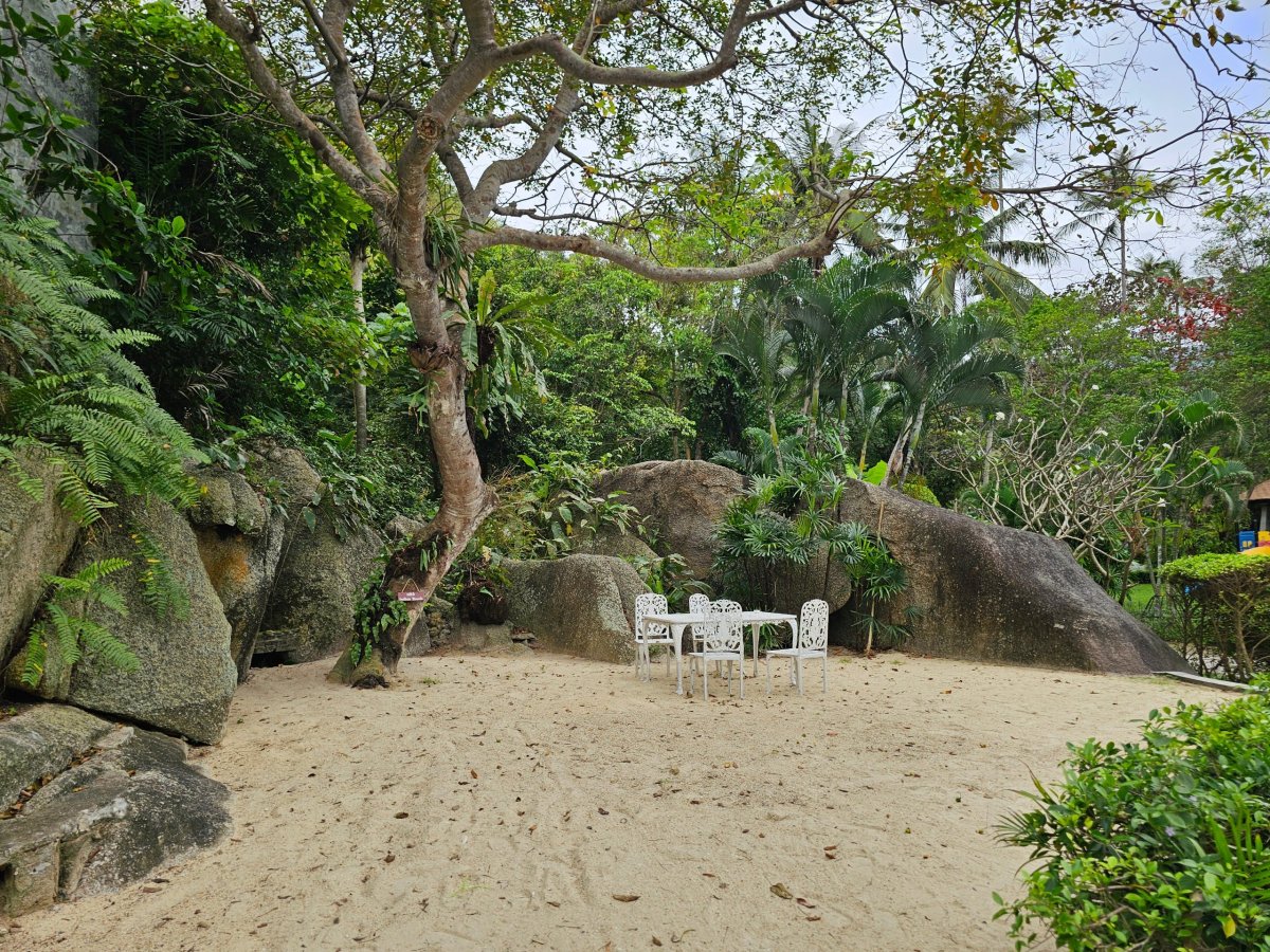 Posezení v zahradě