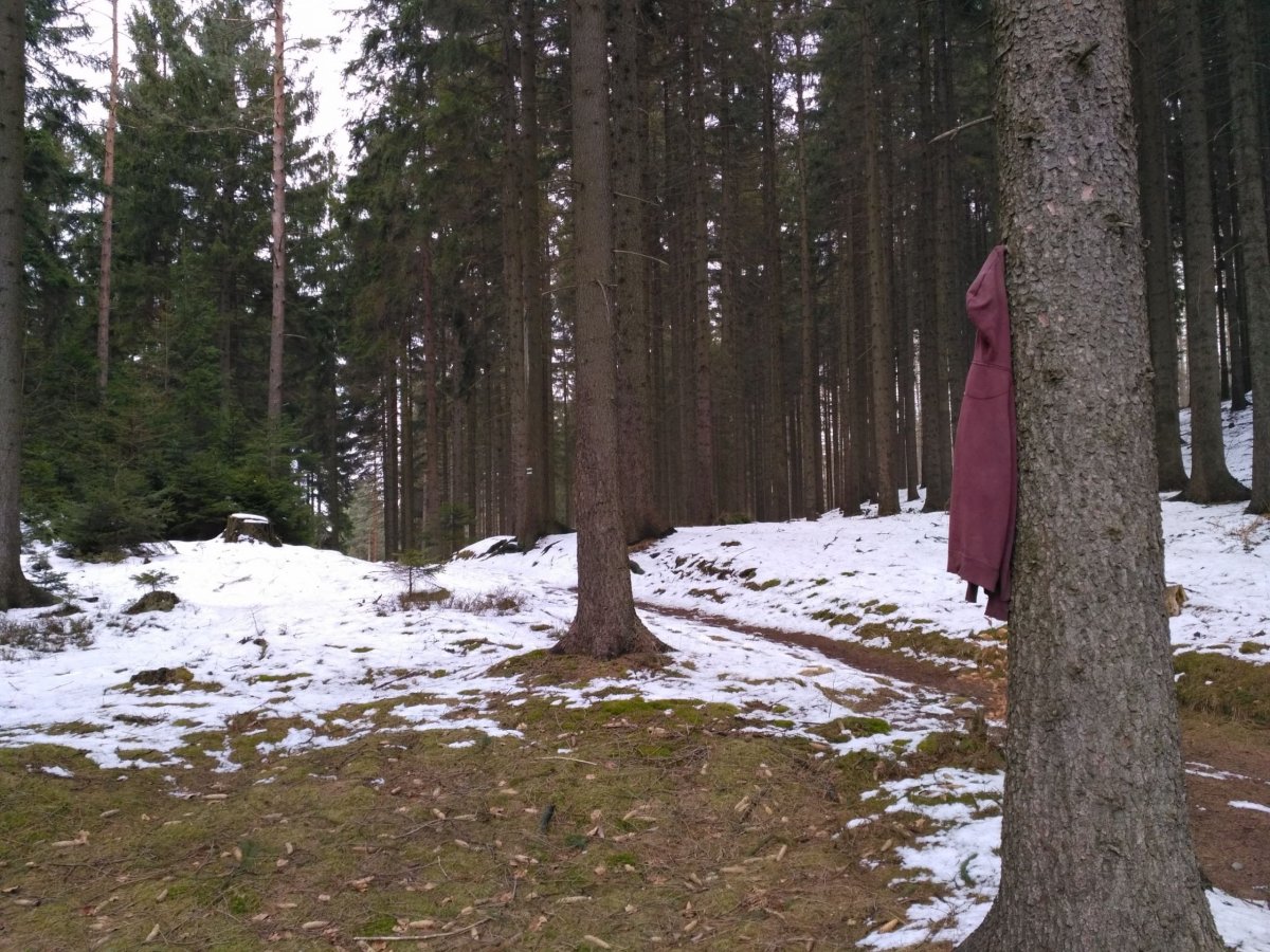 Lesníci se nadřeli. Jeden nešťastník si zde zapomněl svoji nebohou mikinu. Případně by se tento jev mohl nazvat pokusem o dobrý 