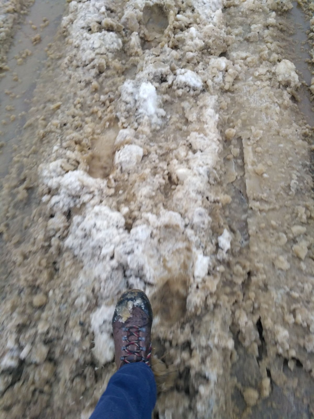 Jinak jelikož trochu roztálo, tak jsme se museli brodit doslova a do písmene ve sračkách, promiňte mi toto přesné vystižení situ