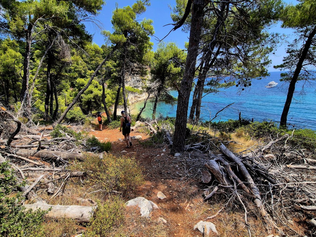 Cesta na Paralia Monicas