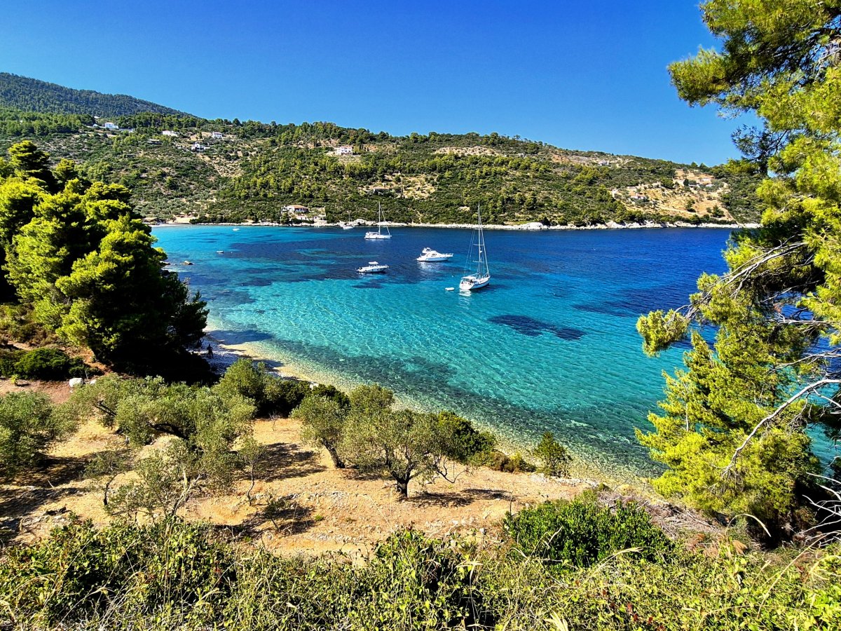 NikIro's beach - cesta mezi olivovníky