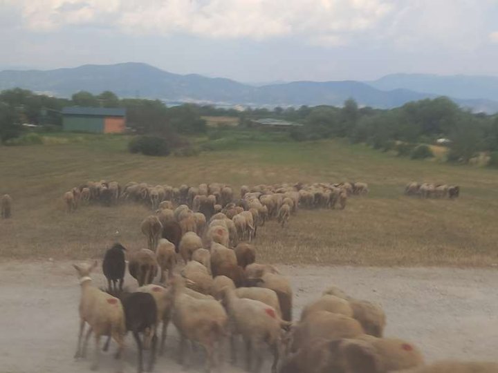 bez dokladu do Makedonie
