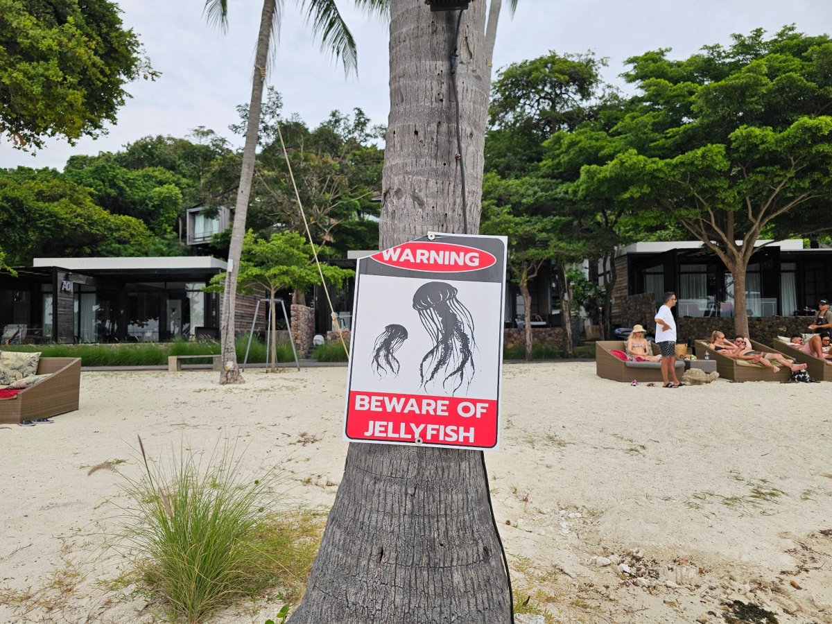 Rin Nai Beach, varování před medúzami