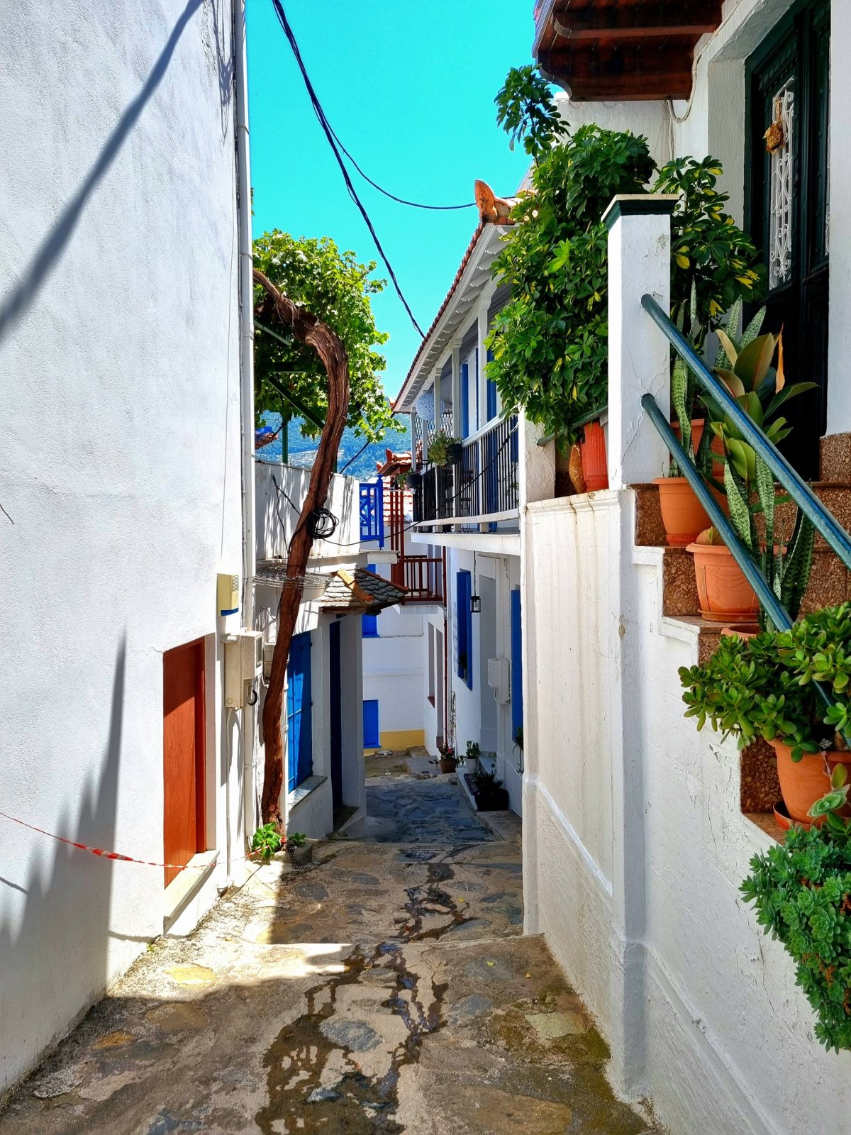 Uličky města Skopelos