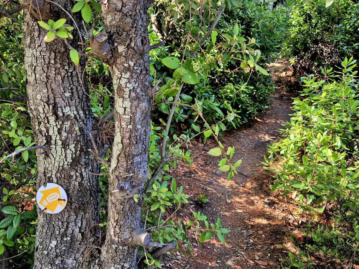 Turistické značky po cestě