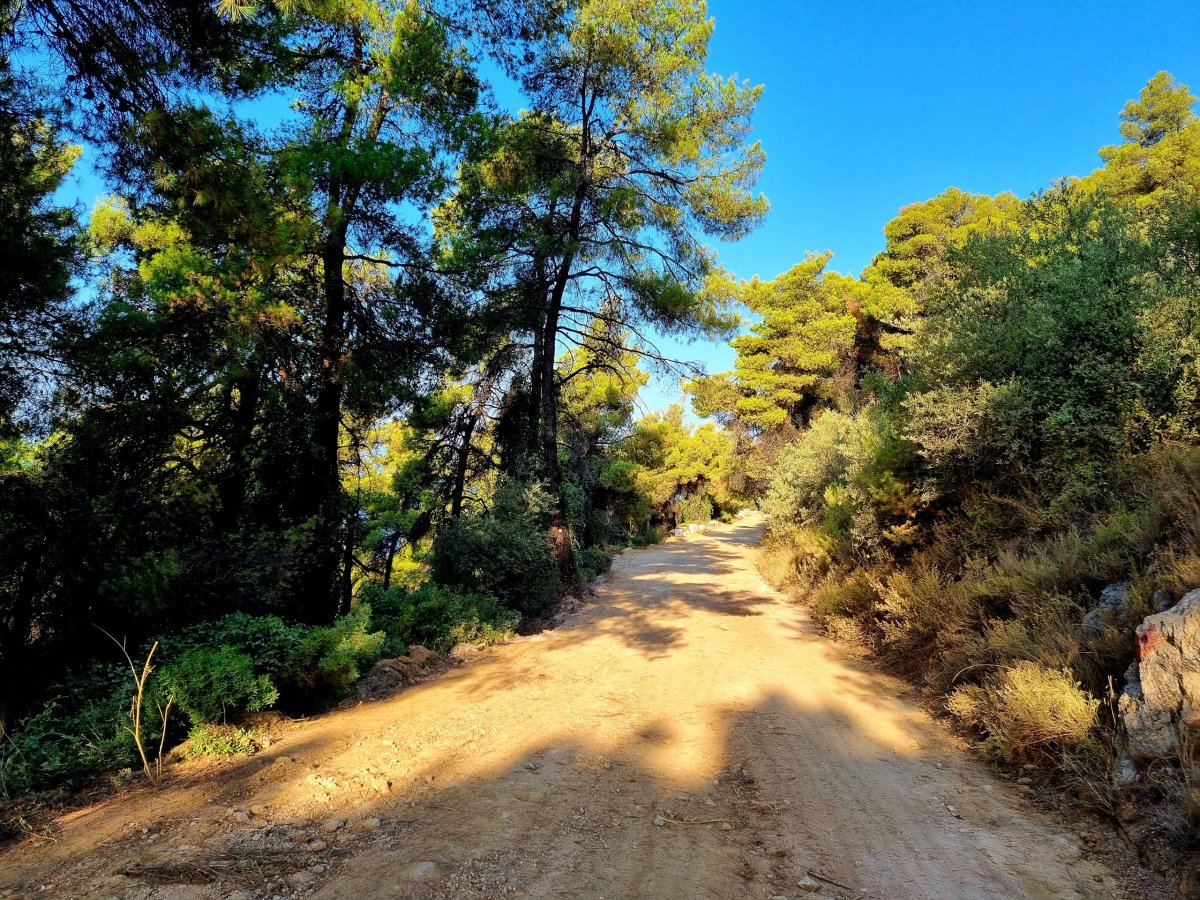 Cesta na Agios Ioannis