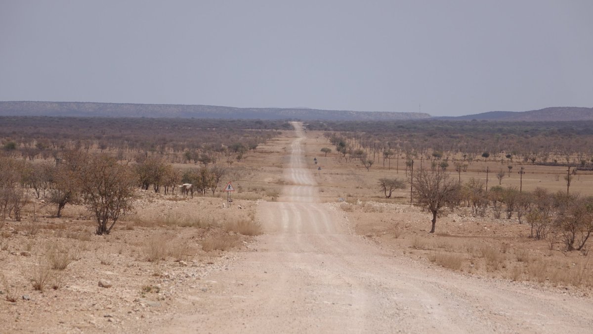 Kamenitá silnice zvaná gravel s maximální povolenou rychlostí 100km/h