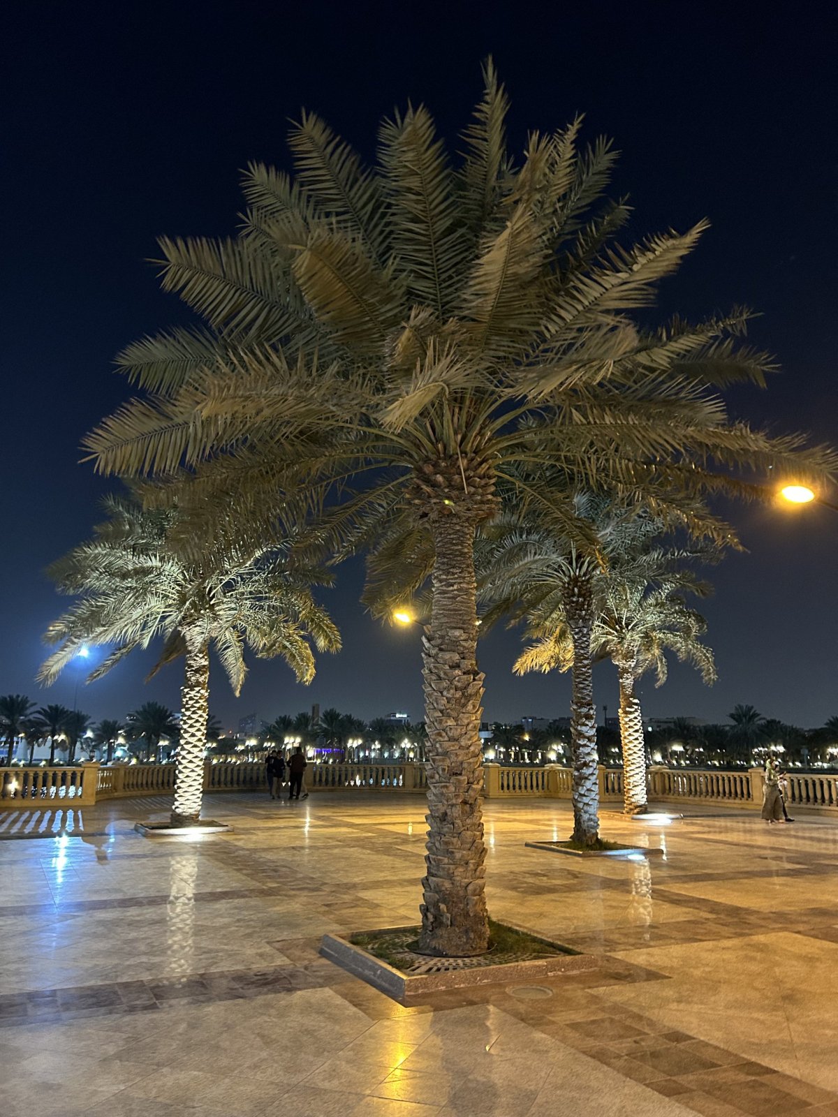 King Abdullah park