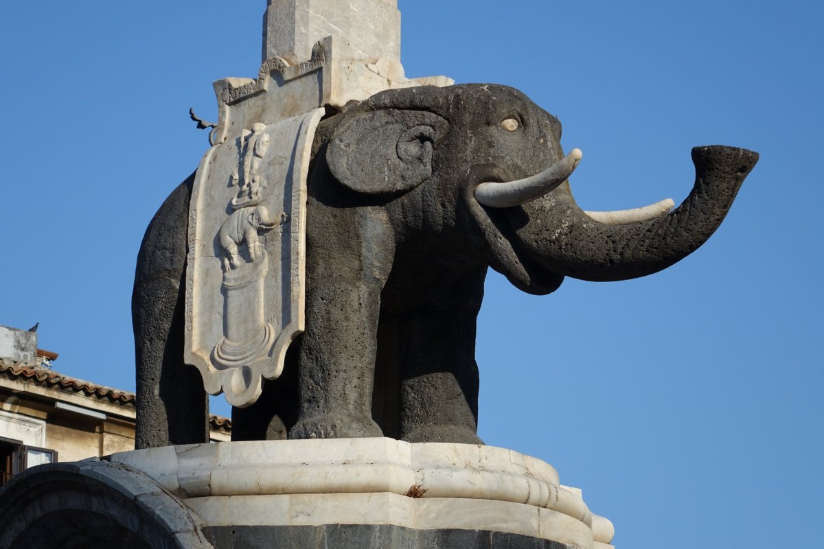 Elephant fountain v Catánii