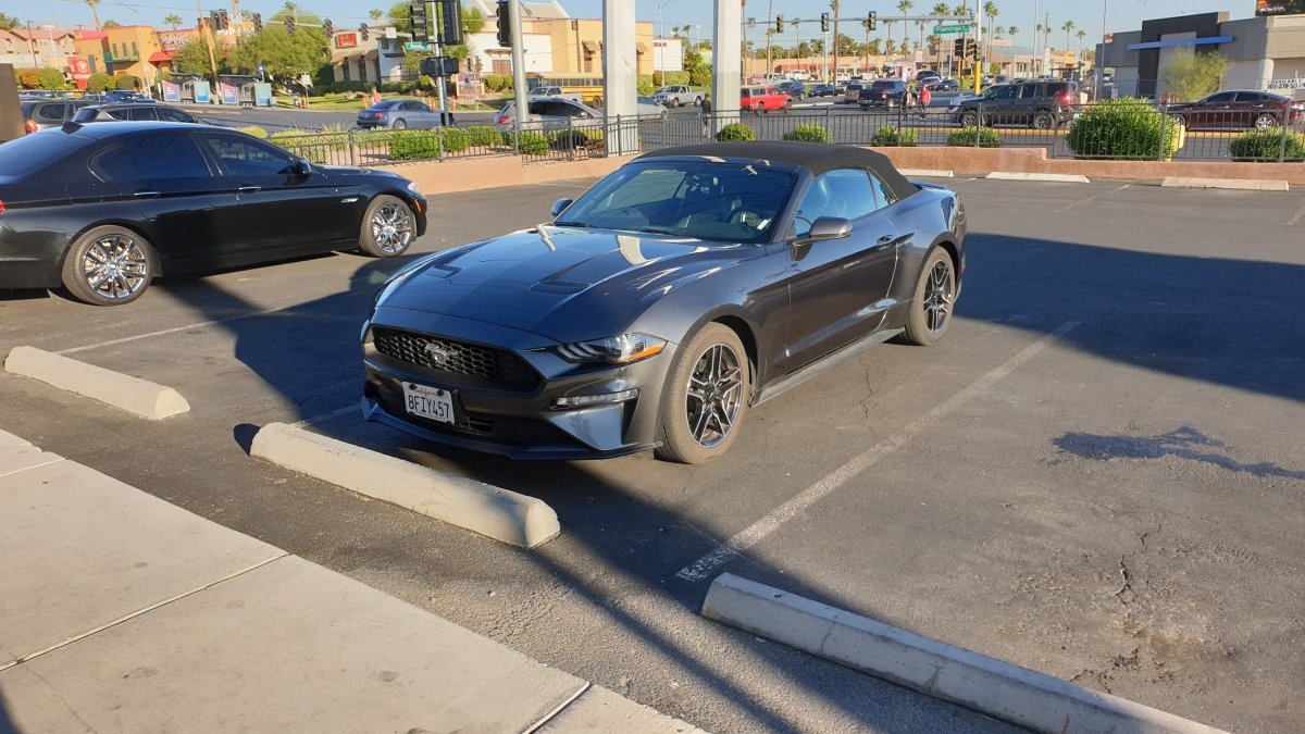 Náš milovaný Mustang