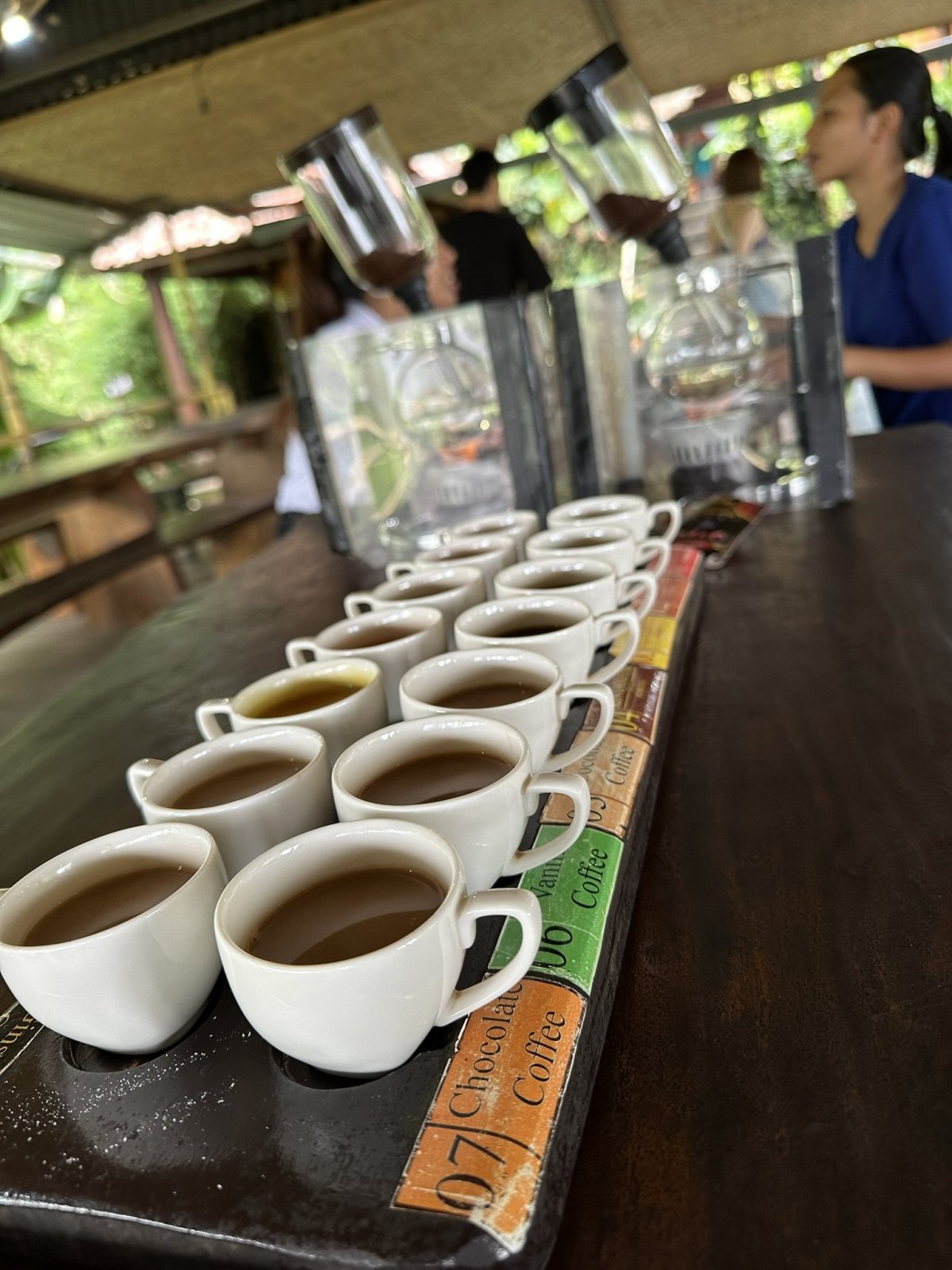 Segara Windhu Coffee Plantation