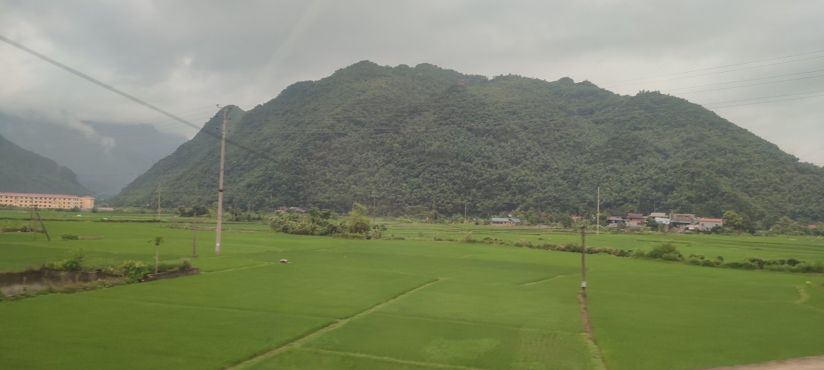 Mai chau