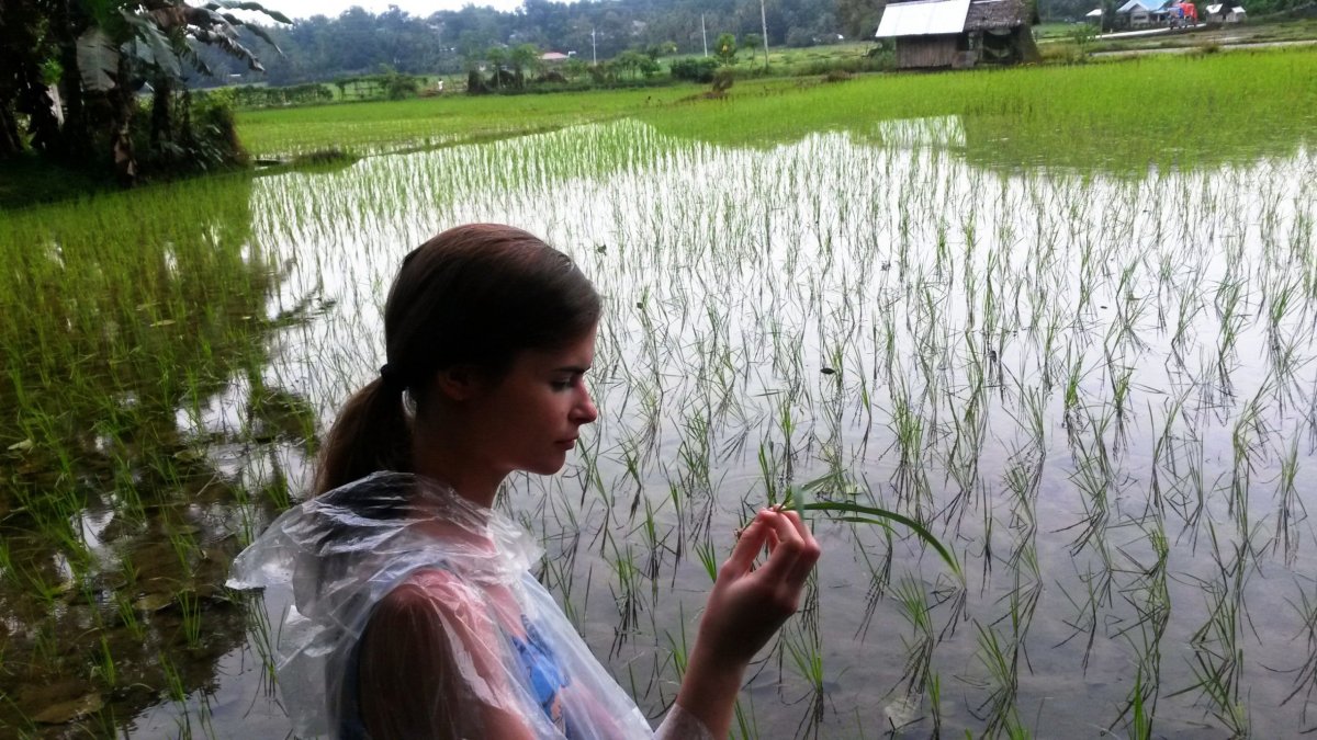 Na cestě z Nuts Huts do Lobocu