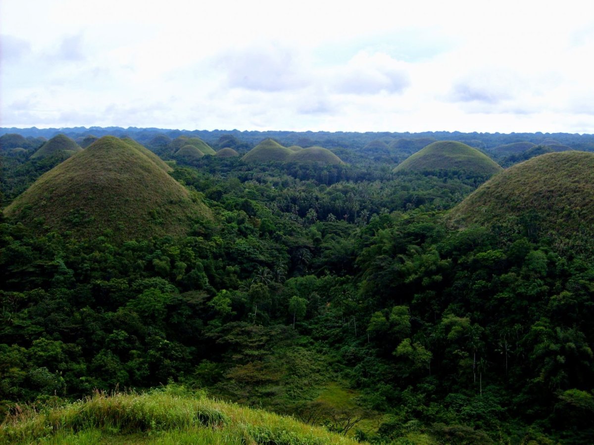Chocolate hills