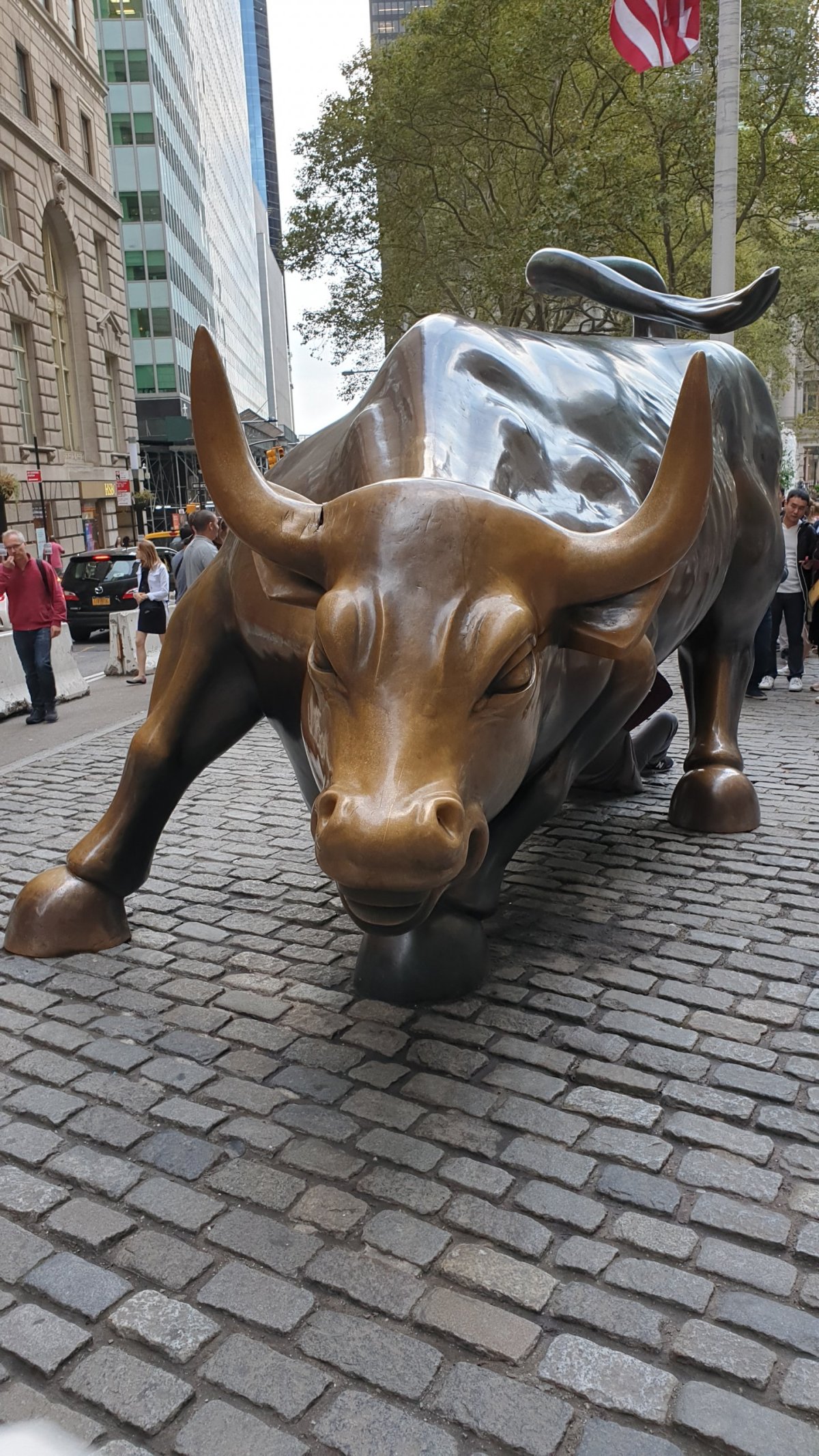 Charging Bull