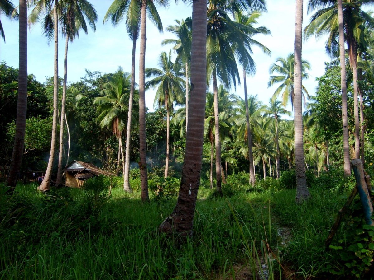 Zkratka na White beach
