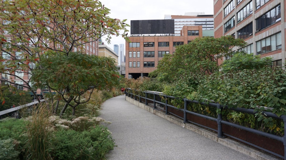 High Line Park