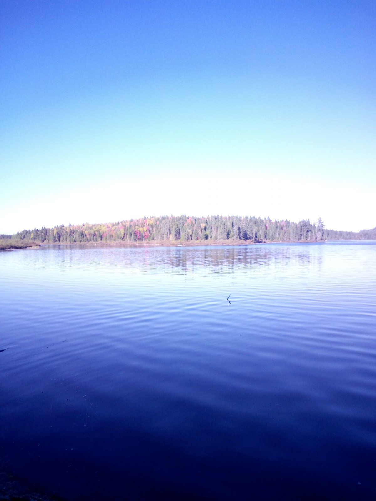 Jezero v NP
