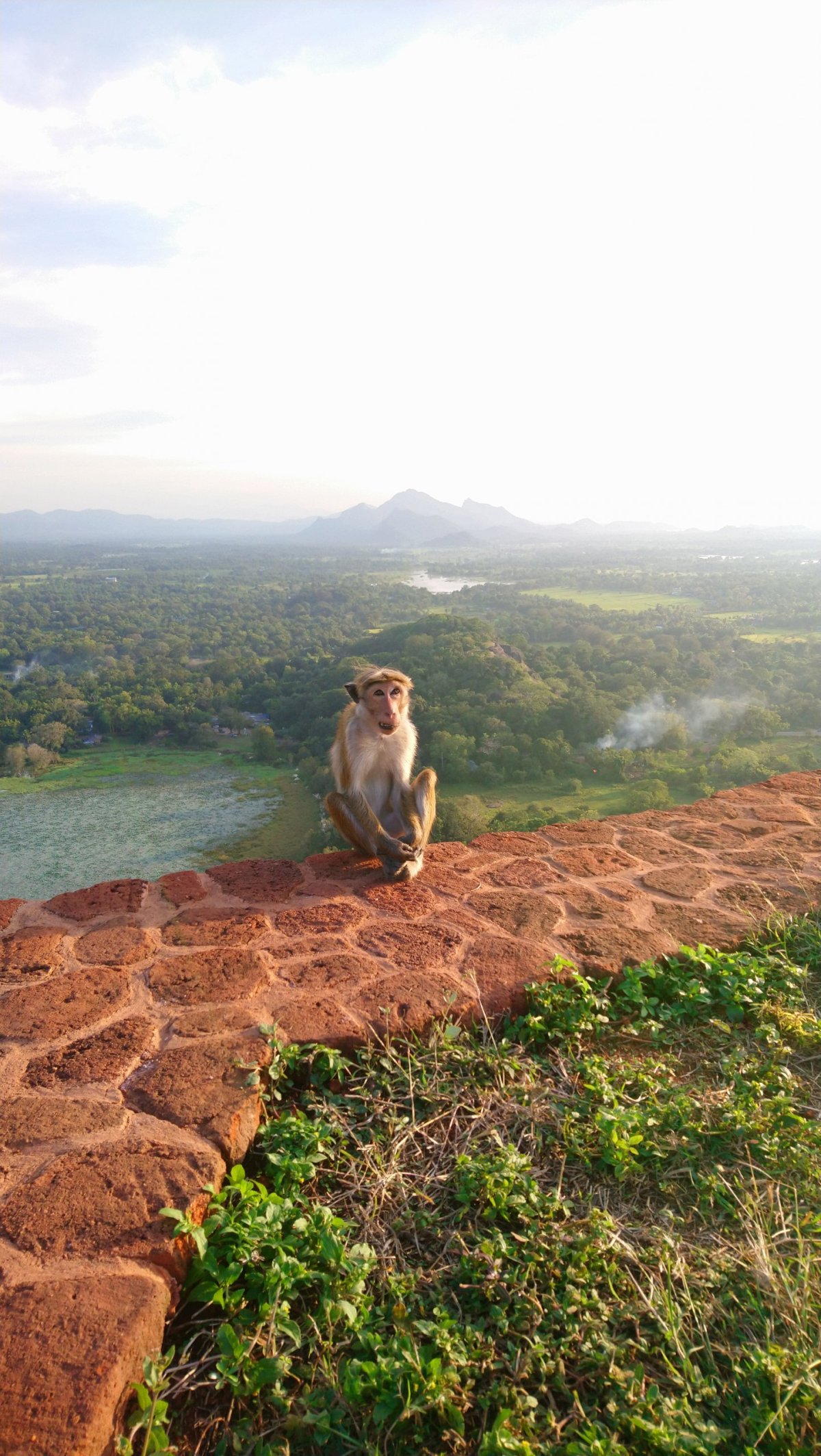 Na vrcholu skály Sigiriya