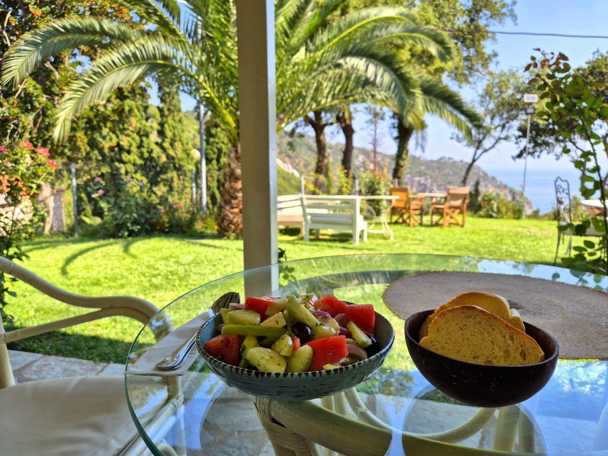 Vynikající salát v krásné zahradě