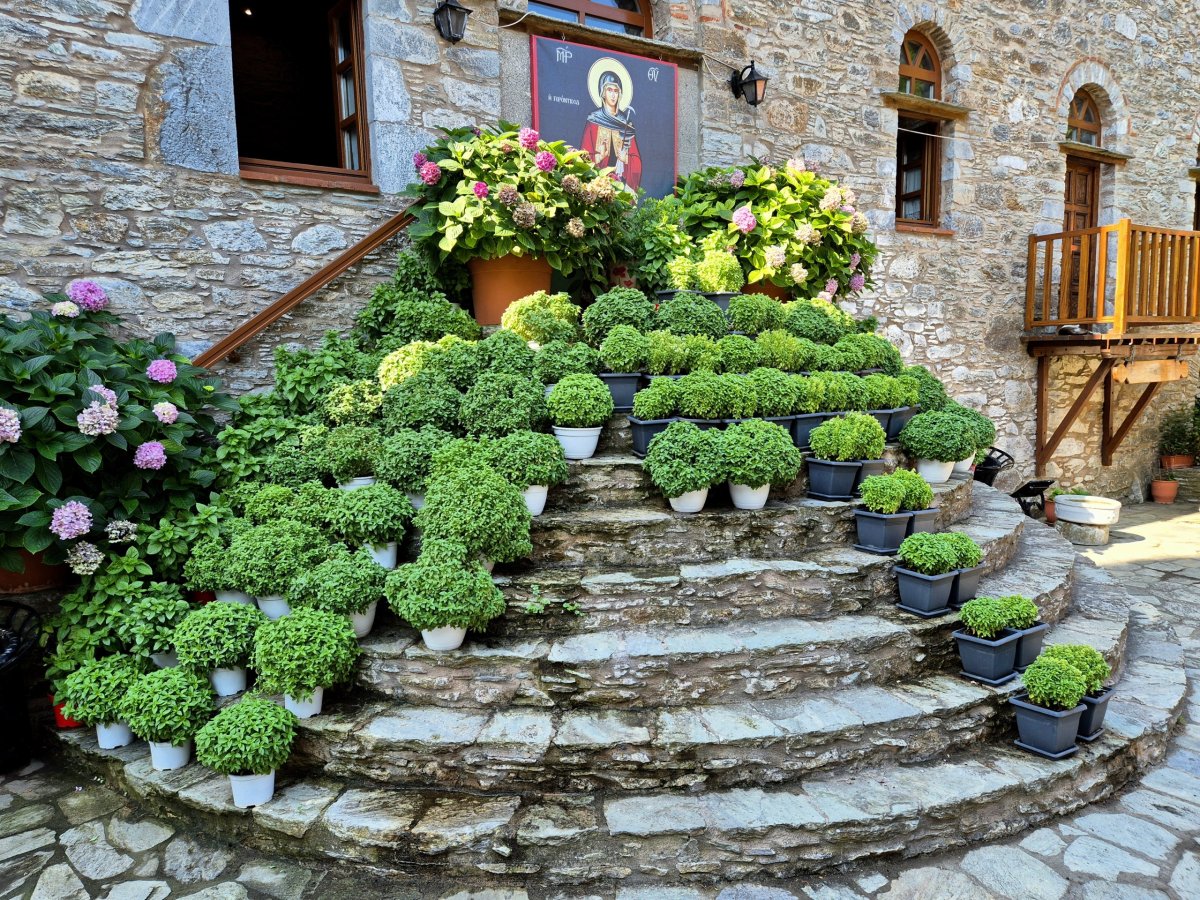 Evangelistria Monastery - bazalka všude, kam se podíváš