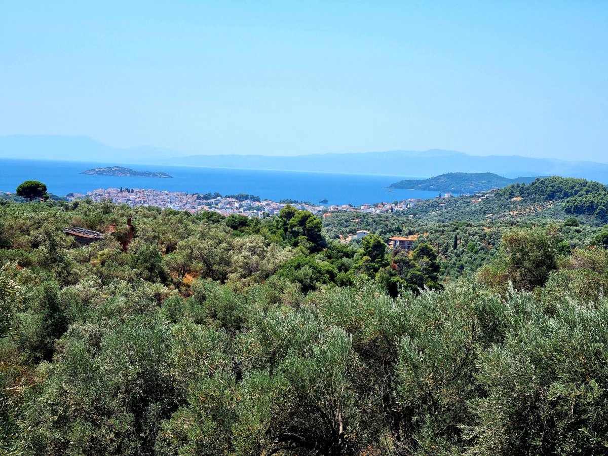 Hlavní město ostrova schované za olivovníky