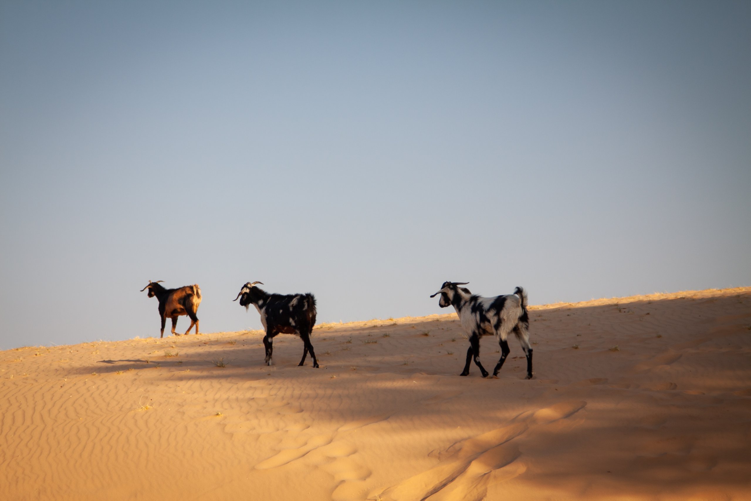 ČAD perla v srdci Sahary