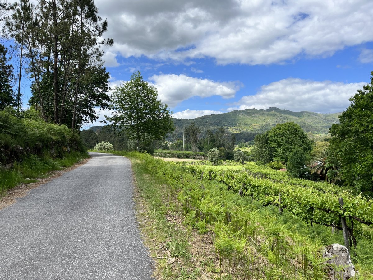 Veď mě dál, cesto má . . 