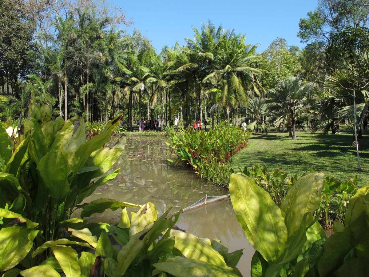  Xishuangbanna Tropical Botanical Garden