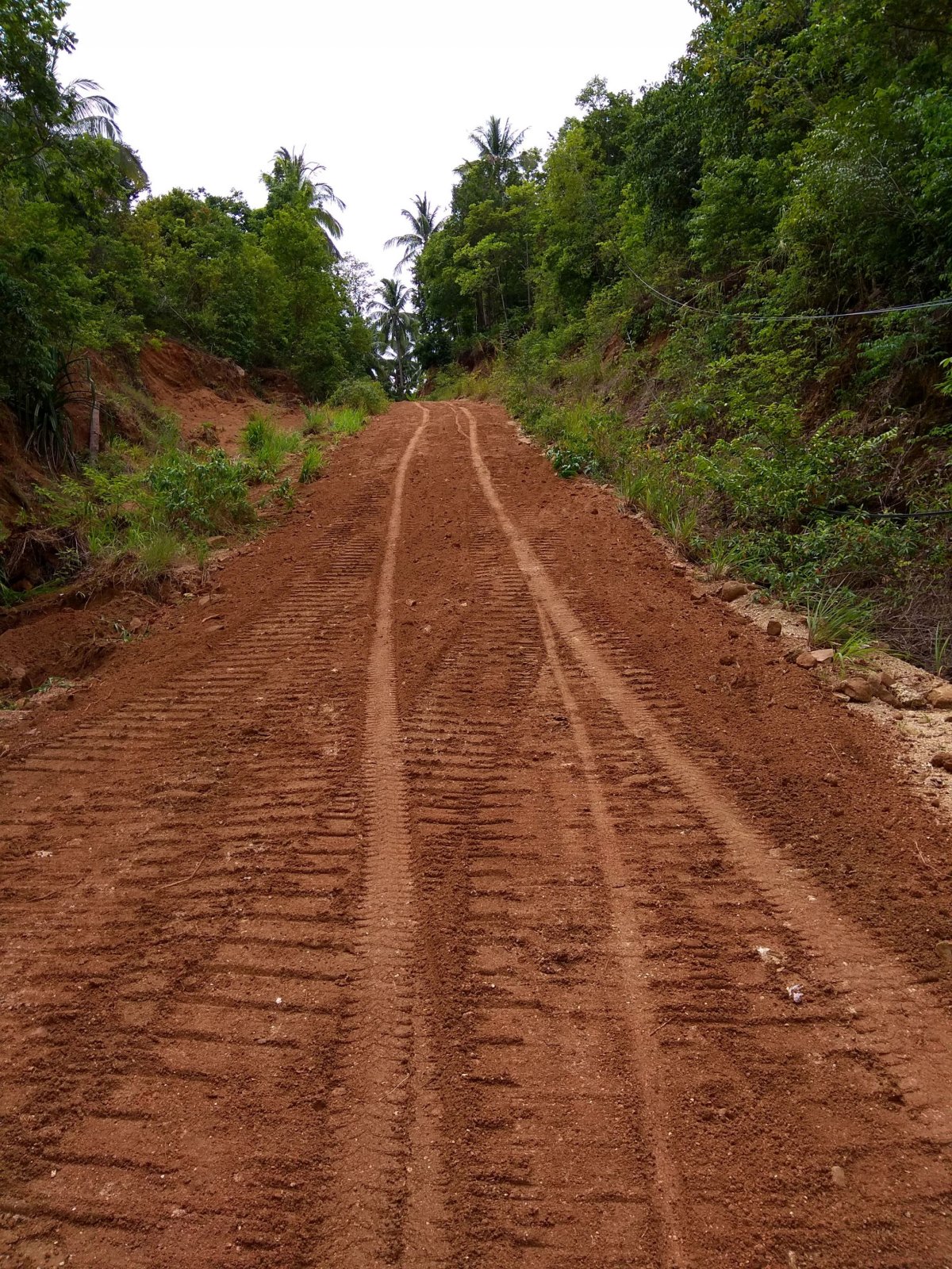 Cesta na Bottle Beach