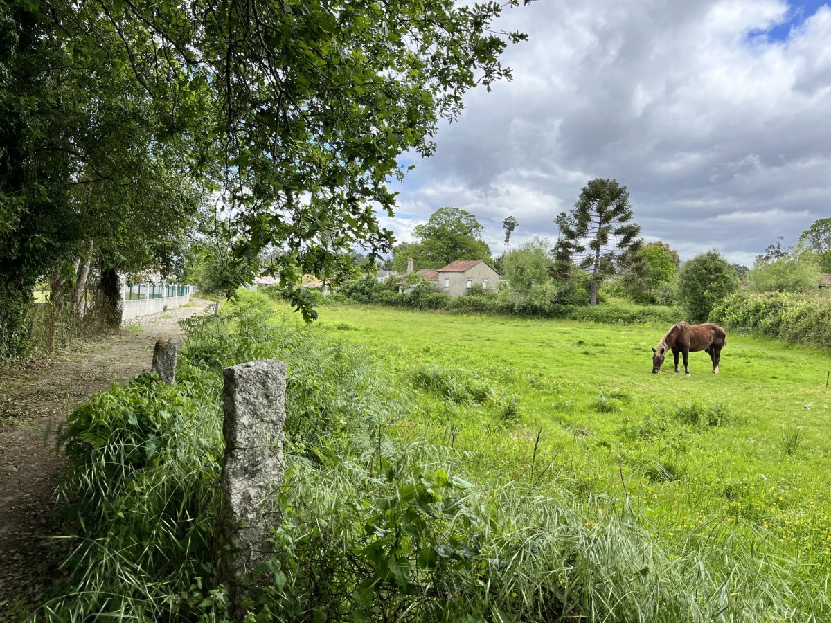 Tou cestou, tím směrem . . 