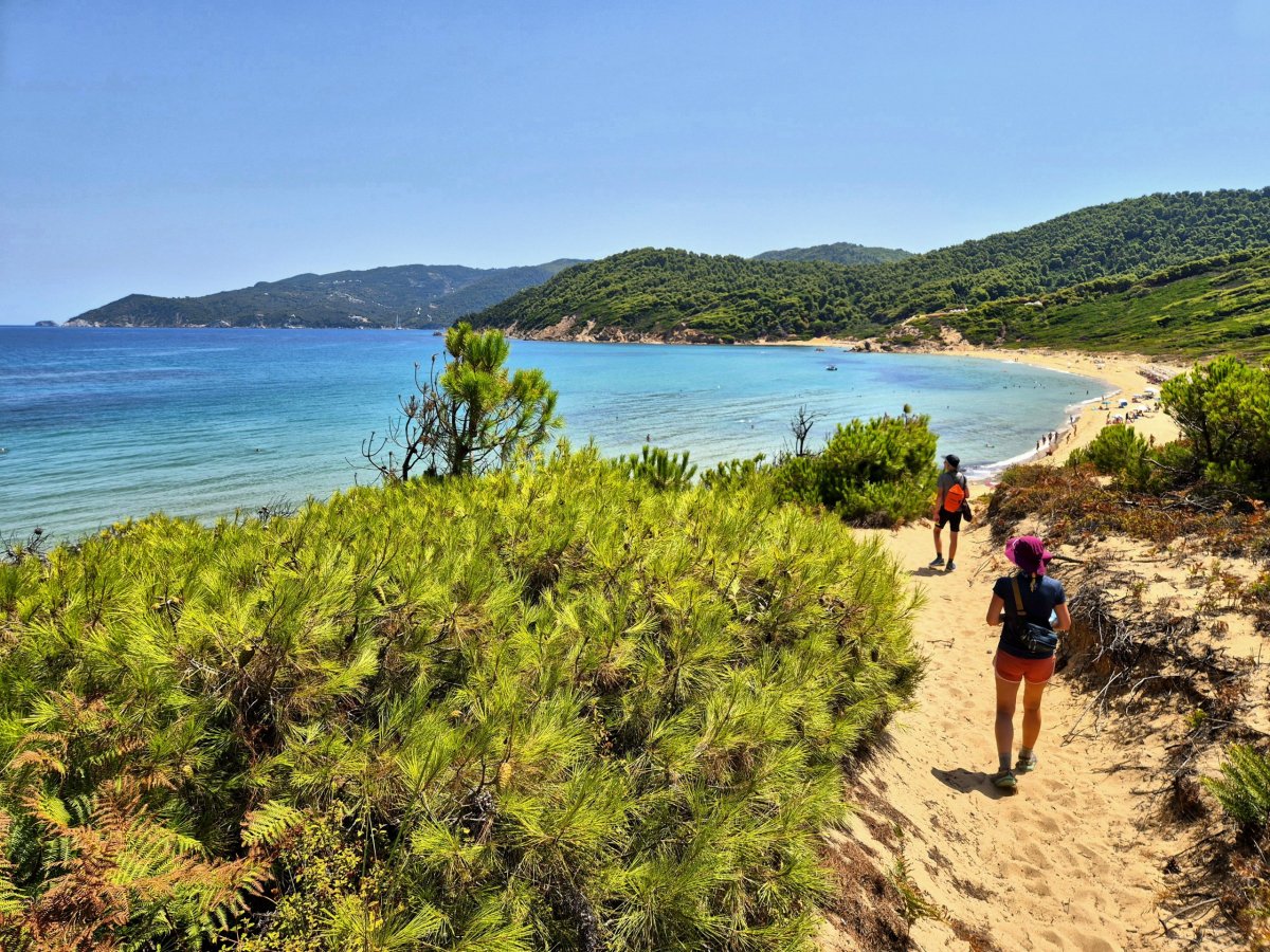 Cesta na pláž po duně