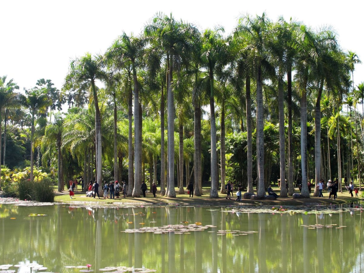 Xishuangbanna Tropical Botanical Garden