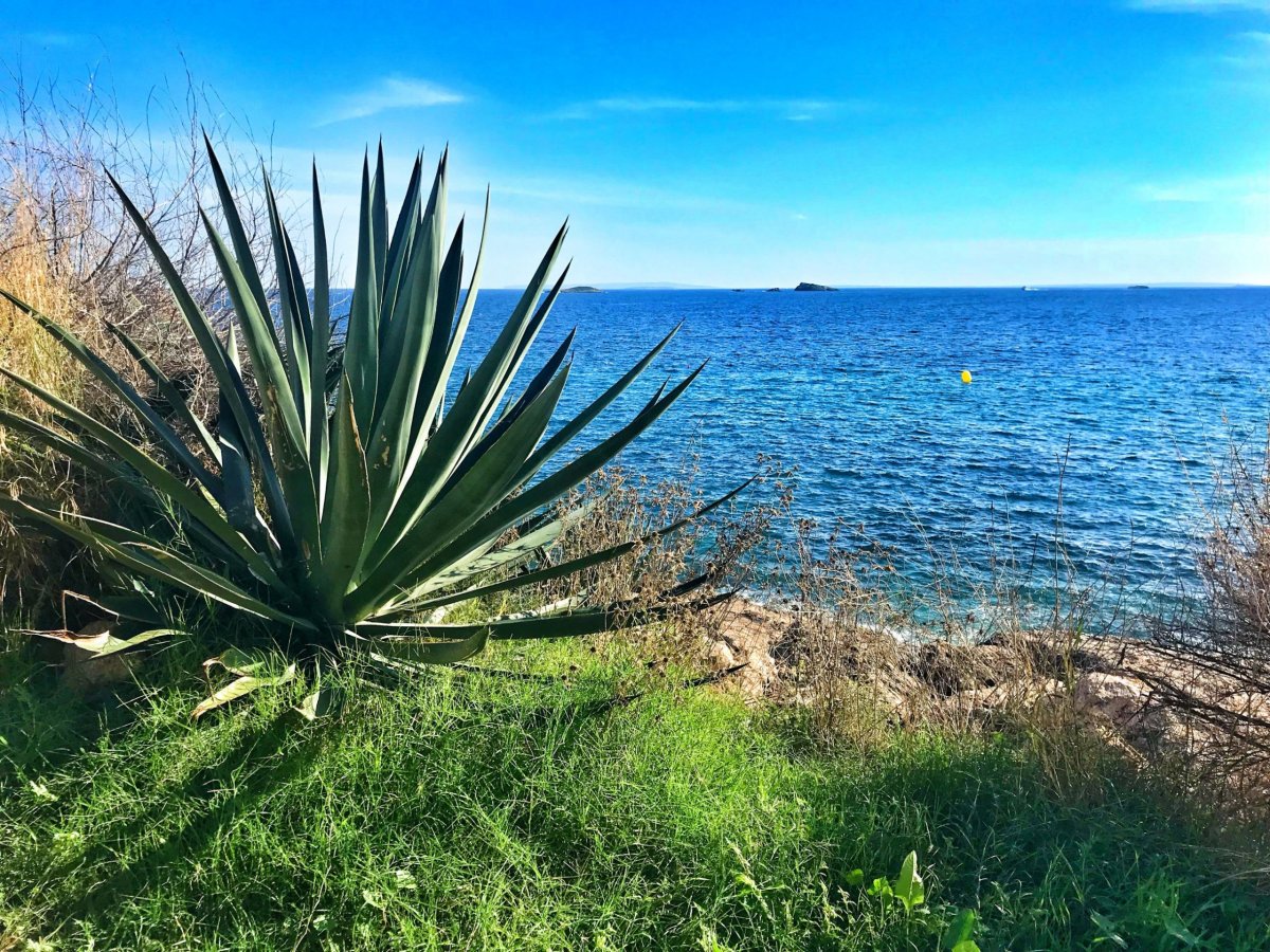 pláž v těsné blízkosti hotelu