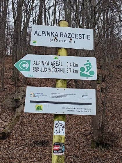Alpínka