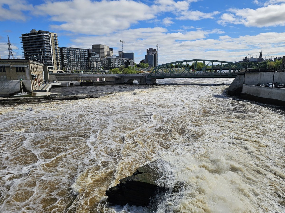Chaudiere Falls